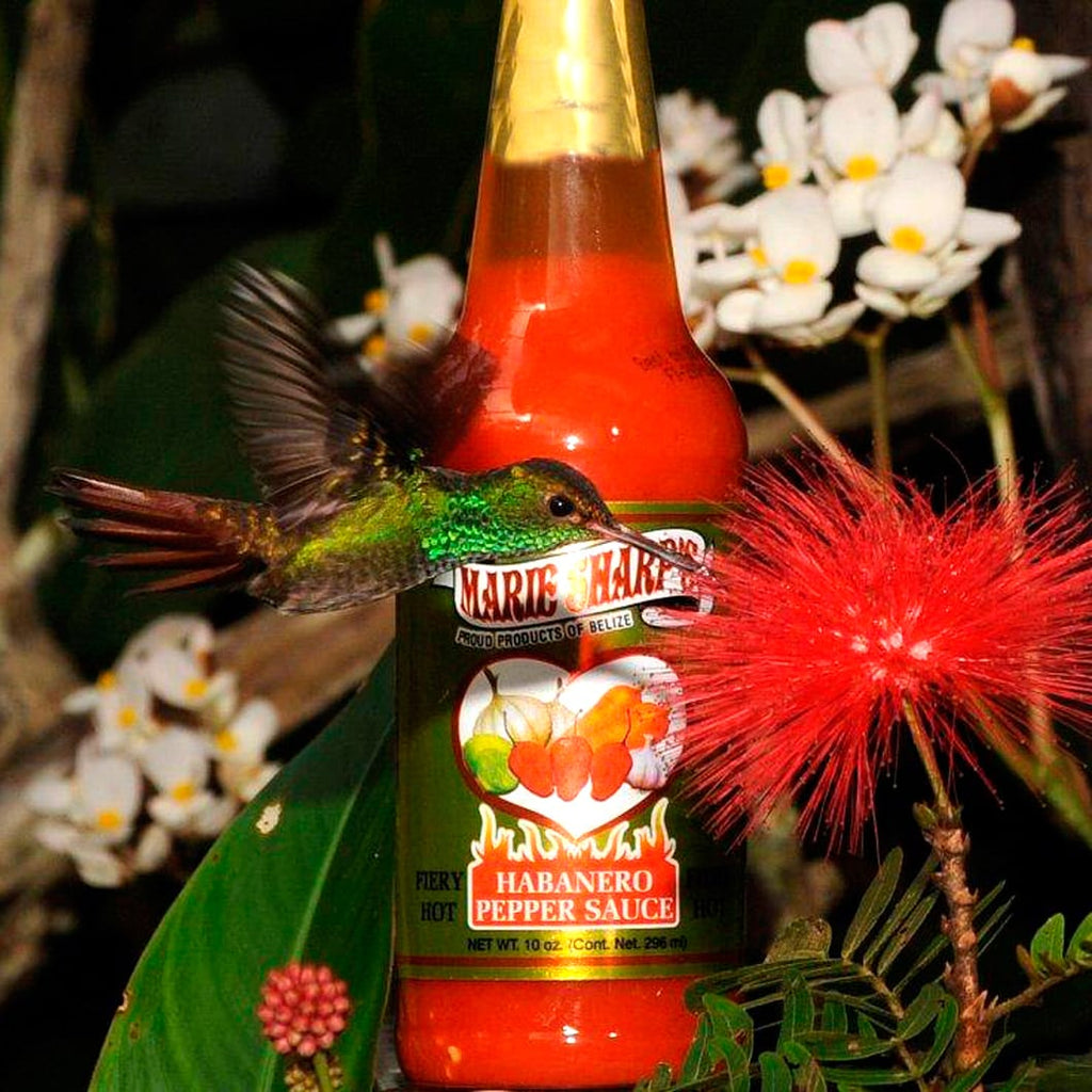 Marie Sharps Chili Sauce aus der Karibik mit einem Kolibrie
