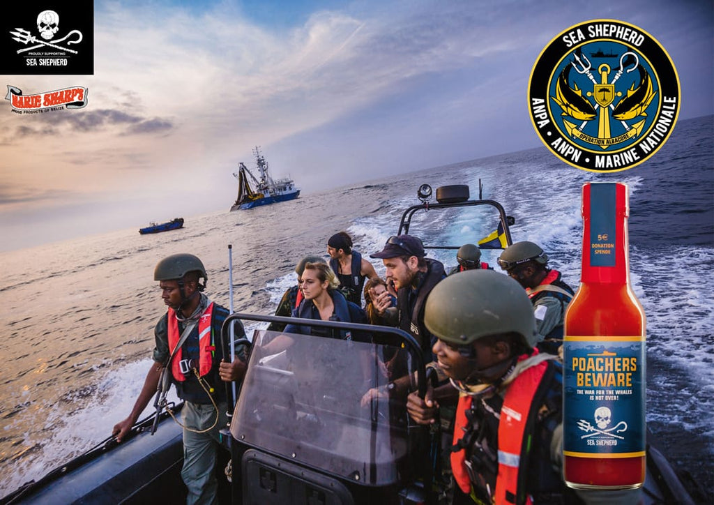 OPERATION ALBACORE - Mit dem Kauf dieser besonderen Sea Shepherd Supporter Edition unserer extrascharfen BEWARE, unterstützen Sie Sea Shepherd‘s Kampagnen aktiv mit € 5,00 je Flasche